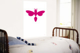 Pink Firefly