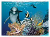 Coral Garden  Hawaiian Dolphin