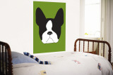 Green Boston Terrier