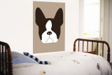 Brown Boston Terrier