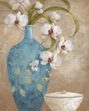 Orchid Grace I