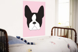 Pink Boston Terrier