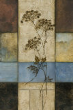 Highland Wildflowers II
