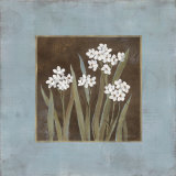 Spring Awakening II