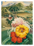 Hawaii USA  1942 Hawaii Tourist Bureau booklet