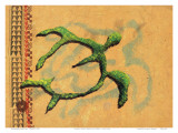 Hilihili Honu  Green Sea Turtle  Hawaiian Petroglyph