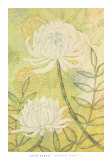 Double Mums II
