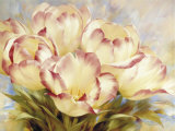Champagne Red Tulips
