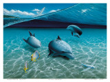 The Chase  Hawaiian Spinner Dolphins