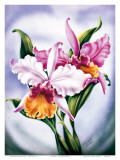 Hawaiian Pink Orchid  c1940s