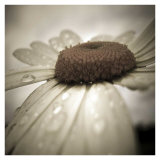 After the Rain