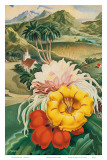 Hawaii USA  1942 Hawaii Tourist Bureau booklet