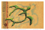Hilihili Honu  Green Sea Turtle  Hawaiian Petroglyph