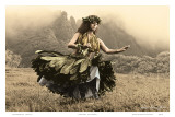 Swaying Skirt  Hawaiian Hula Dancer