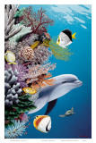 Dolphin’s Reef  Hawaii