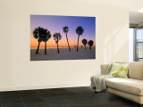 Clearwater Beach  Florida  USA