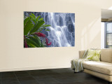 Kepirohi Waterfall  Pohnpei  Federated States of Micronesia