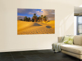 Sand Dunes and Oasis  Desert  Tunisia