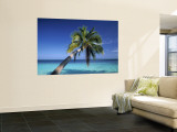 Tropical Beach at Maldives