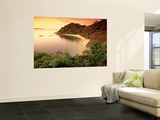 Whale Bay  Northland  New Zealand