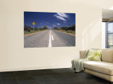 Long Straight Road in the Outback  Australia