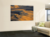 Wheat Fields  Palouse Region  Washington State  USA