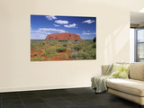 Ayers Rock  Northern Territory  Australia