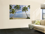 Panama  Bocas Del Toro Province  Carenero Island  Palm Trees and Beach