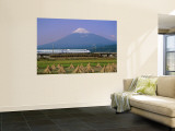 Mount Fuji  Bullet Train and Rice Fields  Fuji  Honshu  Japan