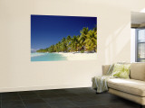 Palm Trees and Tropical Beach  Aitutaki Island  Cook Islands  Polynesia