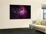 The Pacman Nebula
