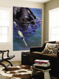 Navy Seal Combat Swimmer