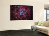 The Rosette Nebula