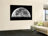 The Moon