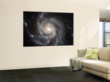 Spiral Galaxy Messier 101 (M101)