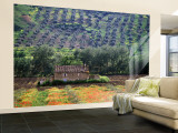 Landscape of Andalucia  Spain