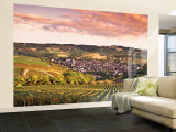 Irancy  Chablis  Burgundy  France