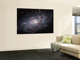 The Triangulum Galaxy