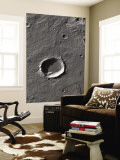 The Largest Number of Gullies on Mars Occur on the Walls of Southern Hemisphere Craters