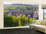 Old Wine Town of Riquewihr and Vineyard  Alsace  France