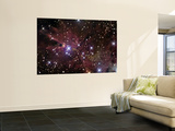 The Cone Nebula and Christmas Tree Cluster
