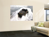 Amphibious Assault Vehicle