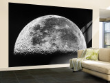 The Moon
