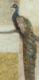Gilded Peacock II