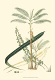 Exotic Palms I