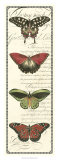 Butterfly Prose Panel I