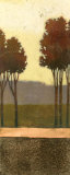 Copper Grove I