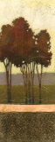 Copper Grove III