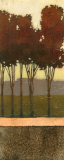 Copper Grove II