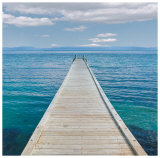 Tropical Dock
